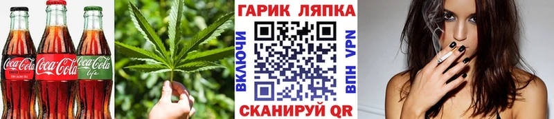 Cannafood конопля  Шагонар 