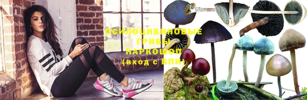шишки Навашино