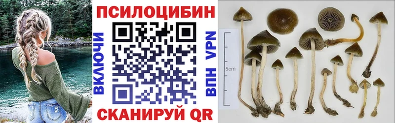 мориарти телеграм  Шагонар  Галлюциногенные грибы ЛСД 