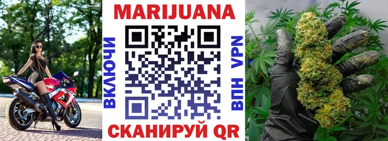 Бошки марихуана сатива  Шагонар 